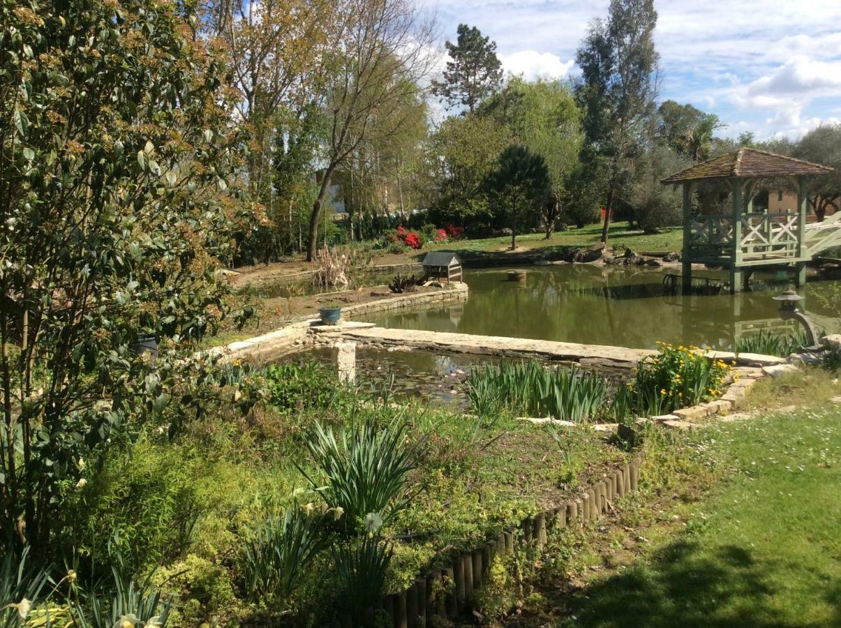 Gite Le Bois De Montpouillan Marmande Exteriör bild